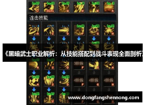 《黑暗武士职业解析：从技能搭配到战斗表现全面剖析》
